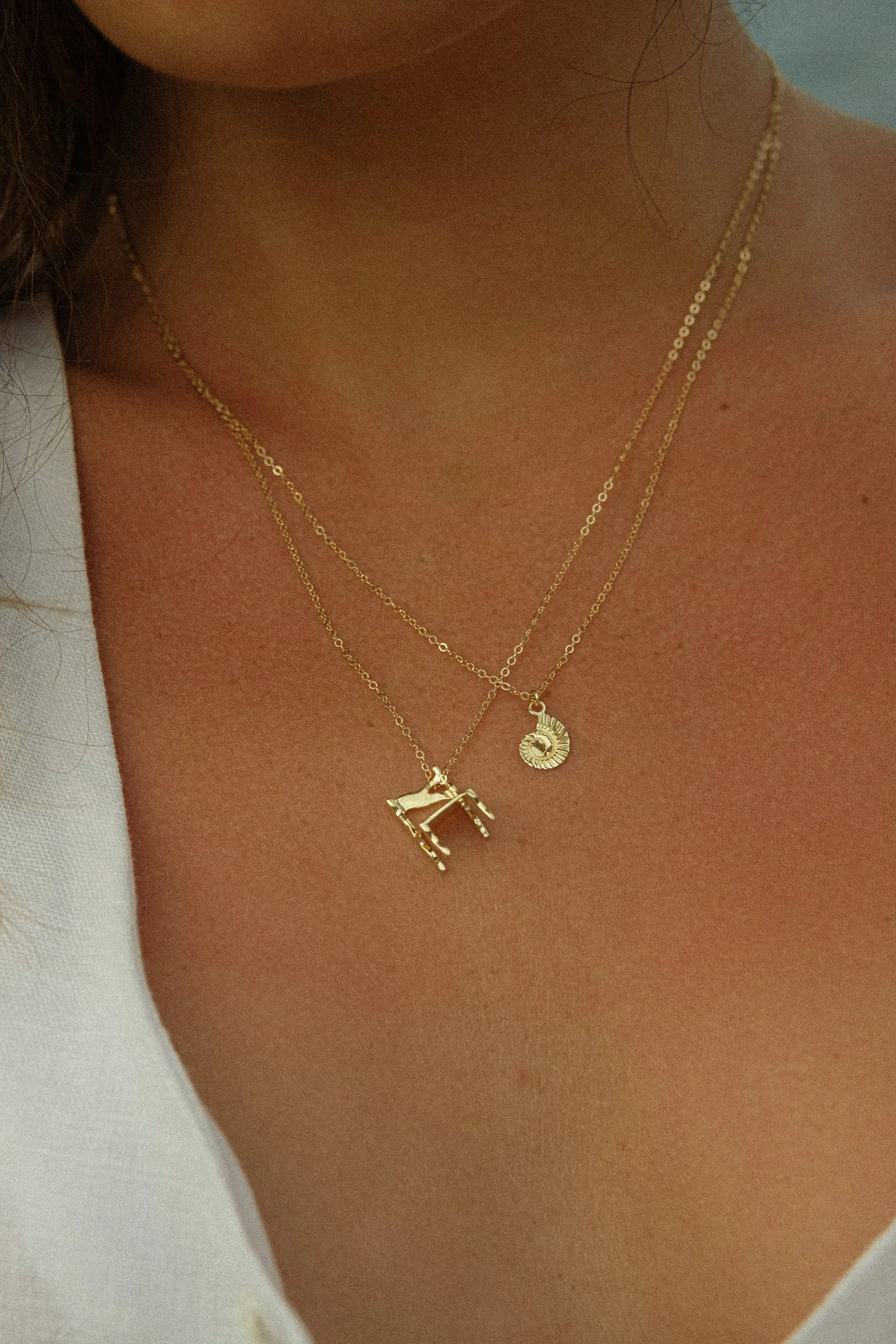 Caracol Necklace