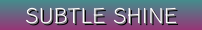 Subtle Shine Boutique - Low-Key Jewelry and Image-Enhancing Accessories